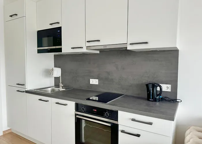 Apartamento Luxury Rooftop With Balcony - 15 Min To Center Viena