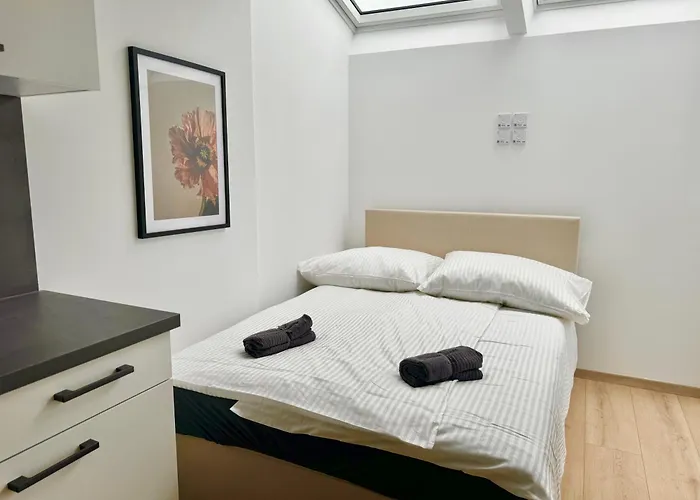 Luxury Rooftop With Balcony - 15 Min To Center * Viena